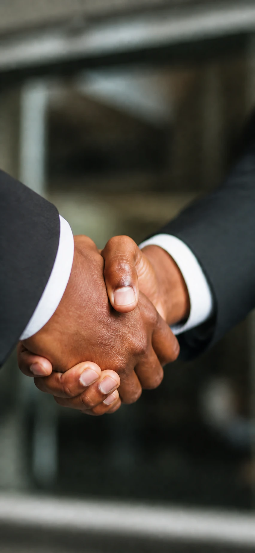 A Cyber Shoppe consultant shaking hands with a client